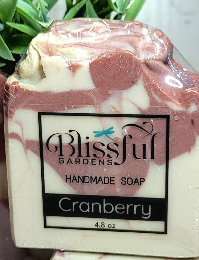 Cranberry Soap
